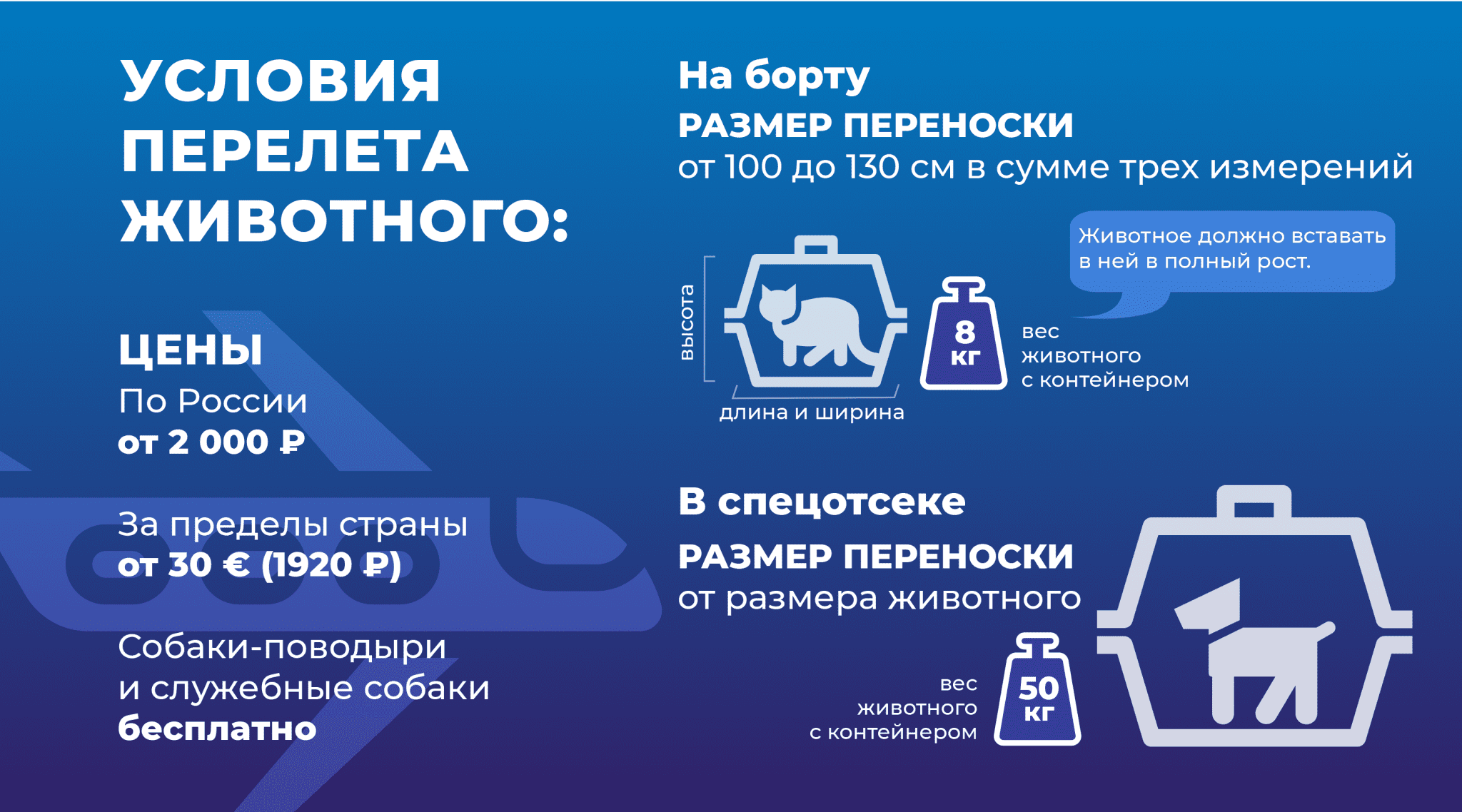 Ветеринарный контроль схема