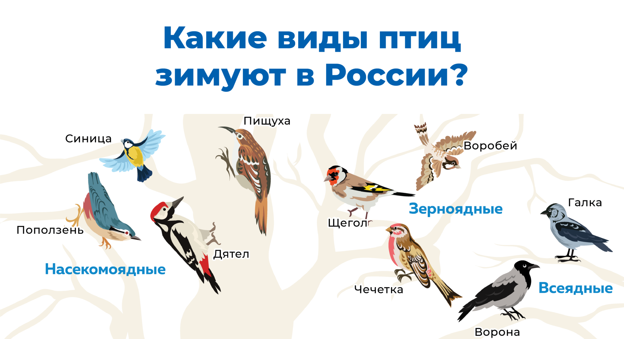 От птицы шел пар и аппетитный запах глухарь упрел в собственном соку схема предложения