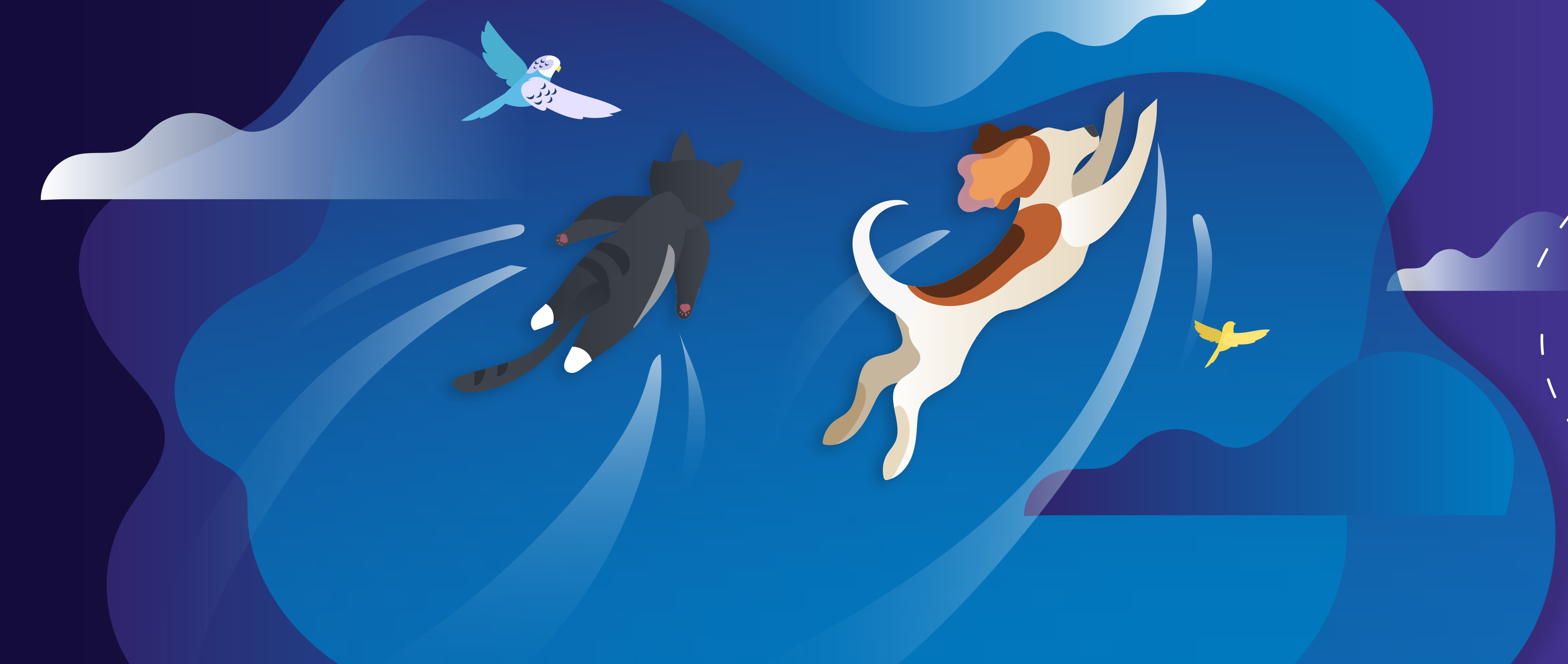 Полноразмерная обложка поста на тему: Как перевозить животных в самолетах и поездах