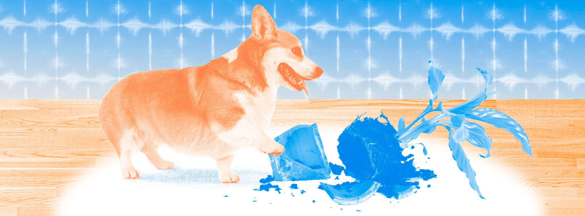 Полноразмерная обложка поста на тему: Как подготовить дом к появлению собаки
