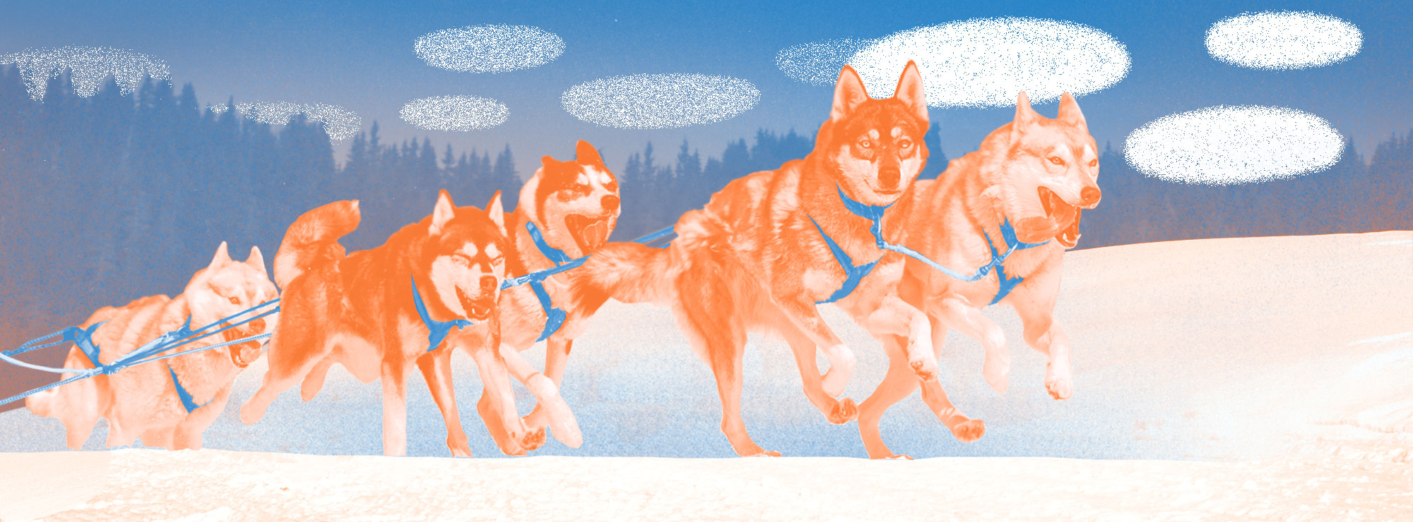 Полноразмерная обложка поста на тему: Где в России покататься на собачьих упряжках