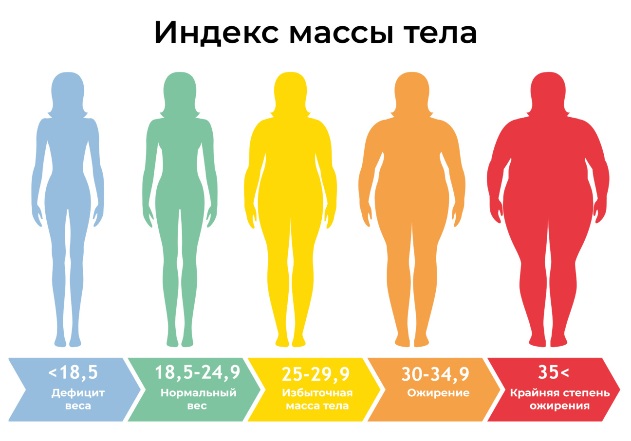 Индекс массы тела показывает соответствие между ростом и весом человека