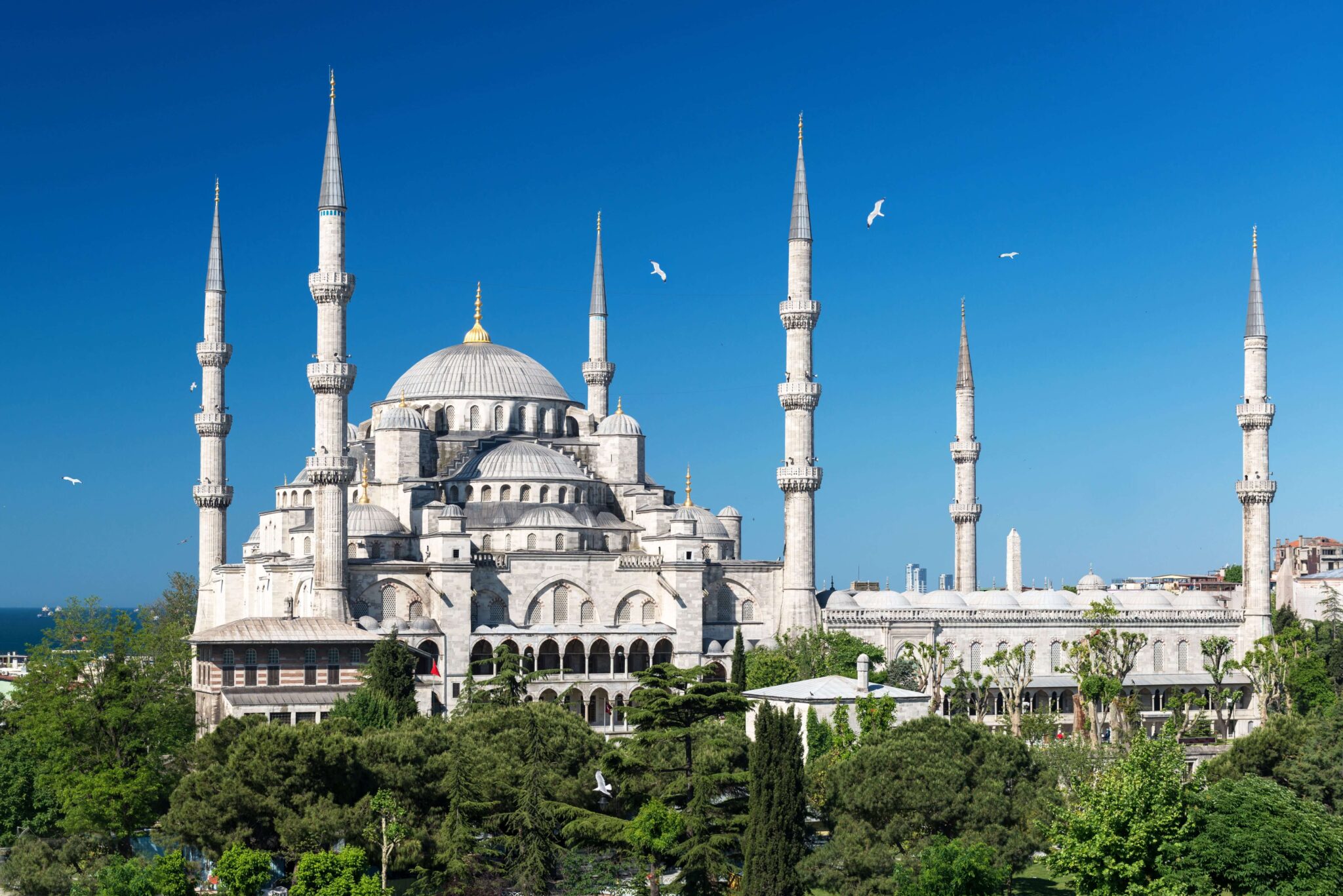 стамбул голубая мечеть