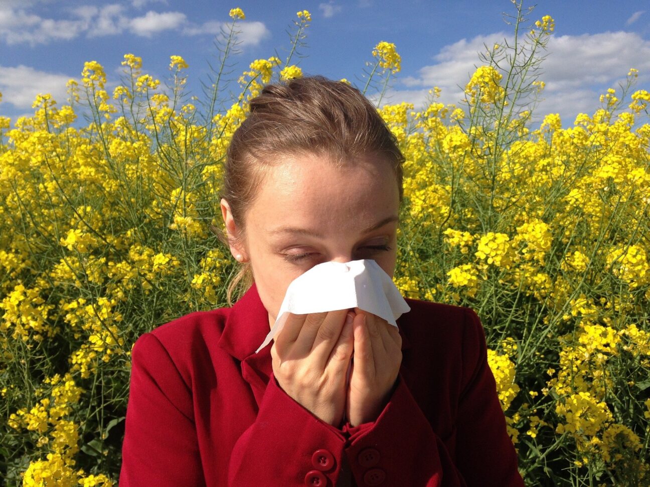 Как выжить в весеннюю аллергию