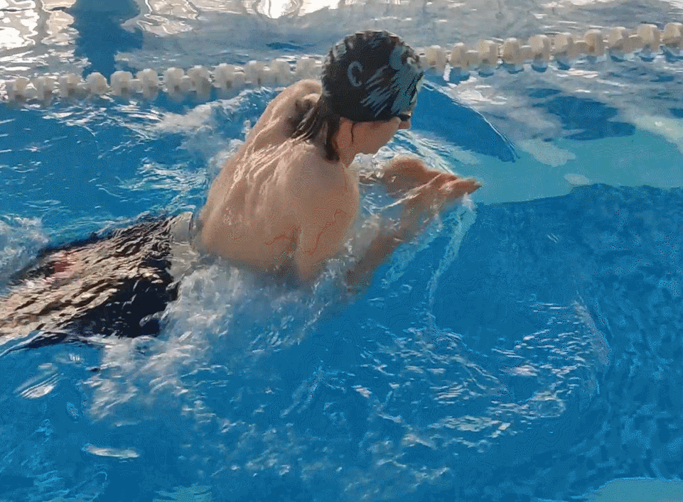 Как правильно плавать брассом
