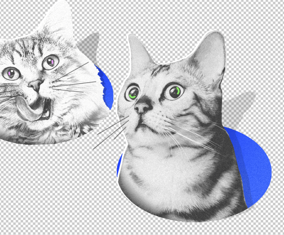 Квадратная обложка поста на тему: Тест: Какая вы кошка?