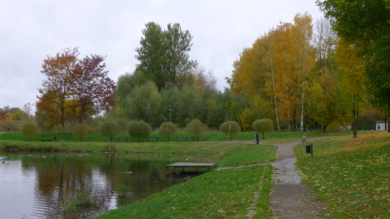 Постепенно в парке высаживают растения-интродуценты, то есть нехарактерные для Псковского региона