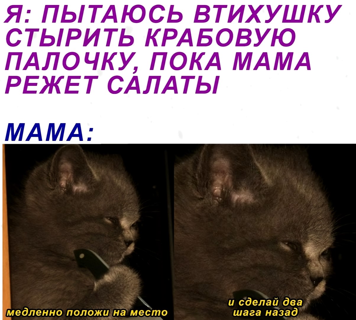 Мемы про котов (поржать)