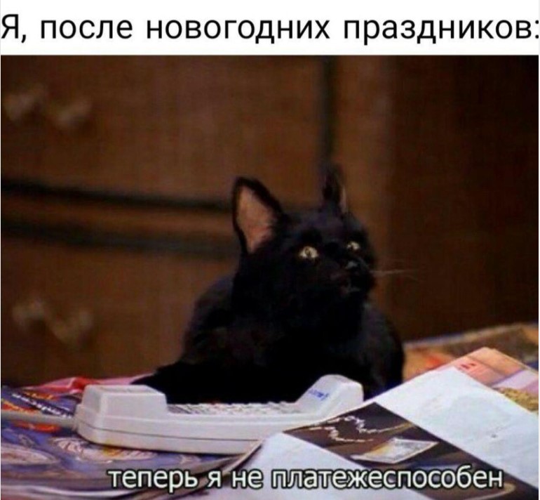 Мемы про котов (поржать)