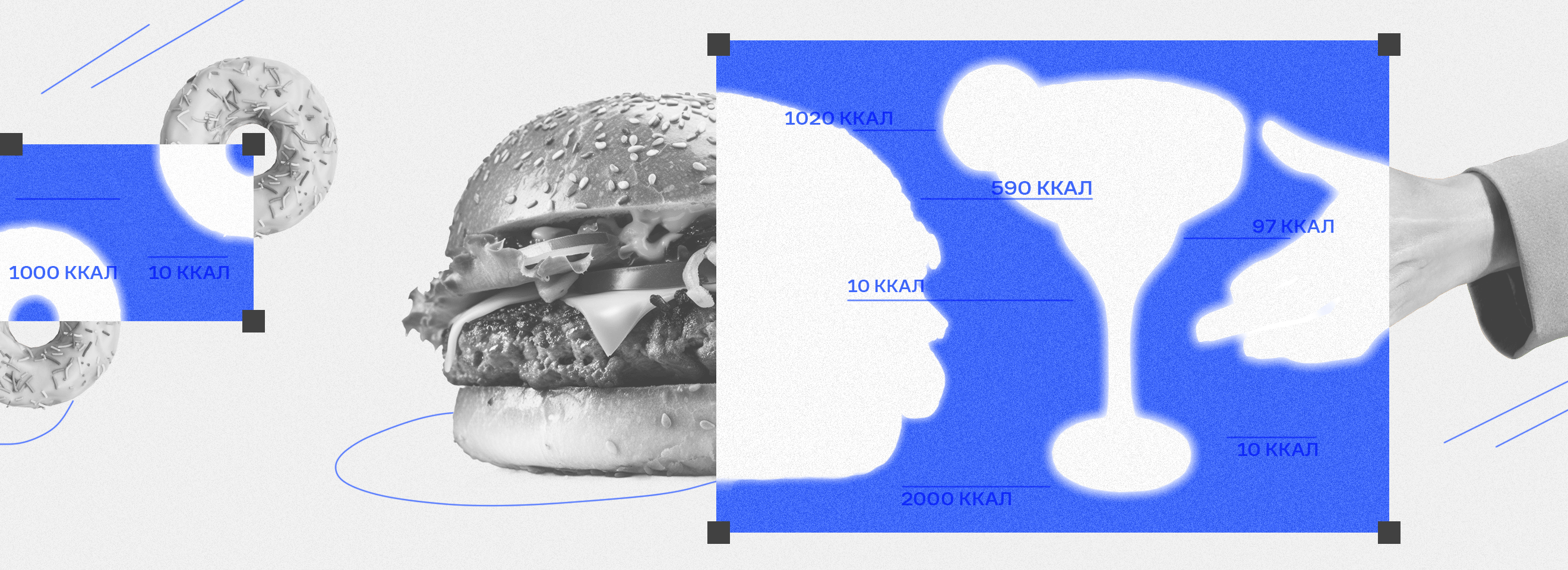 Полноразмерная обложка поста на тему: Тест: насколько хорошо вы разбираетесь в калорийности продуктов